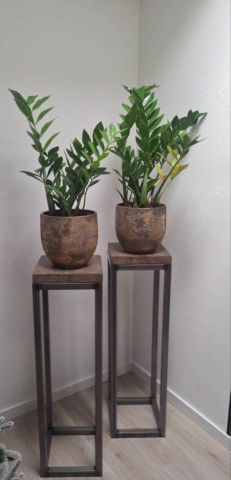 Set van 2 pilaren met planten, Ophalen, Zo goed als nieuw