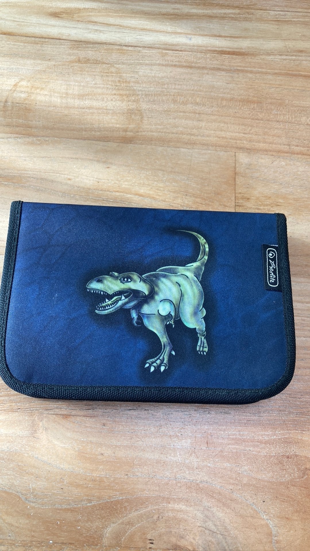 Leuk etui met dino, Ophalen, Gebruikt