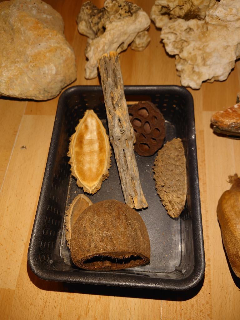 Aquarium toebehoren, Ophalen, Zo goed als nieuw, Plant(en), Steen of Hout, Overige merken