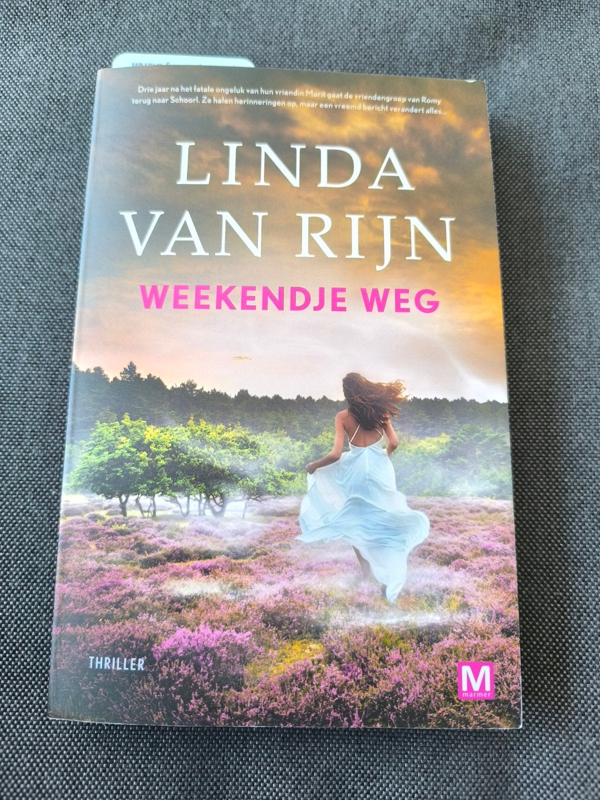 Weekendje Weg - Linda van Rijn (Thriller), Boeken, Thrillers, Ophalen of Verzenden