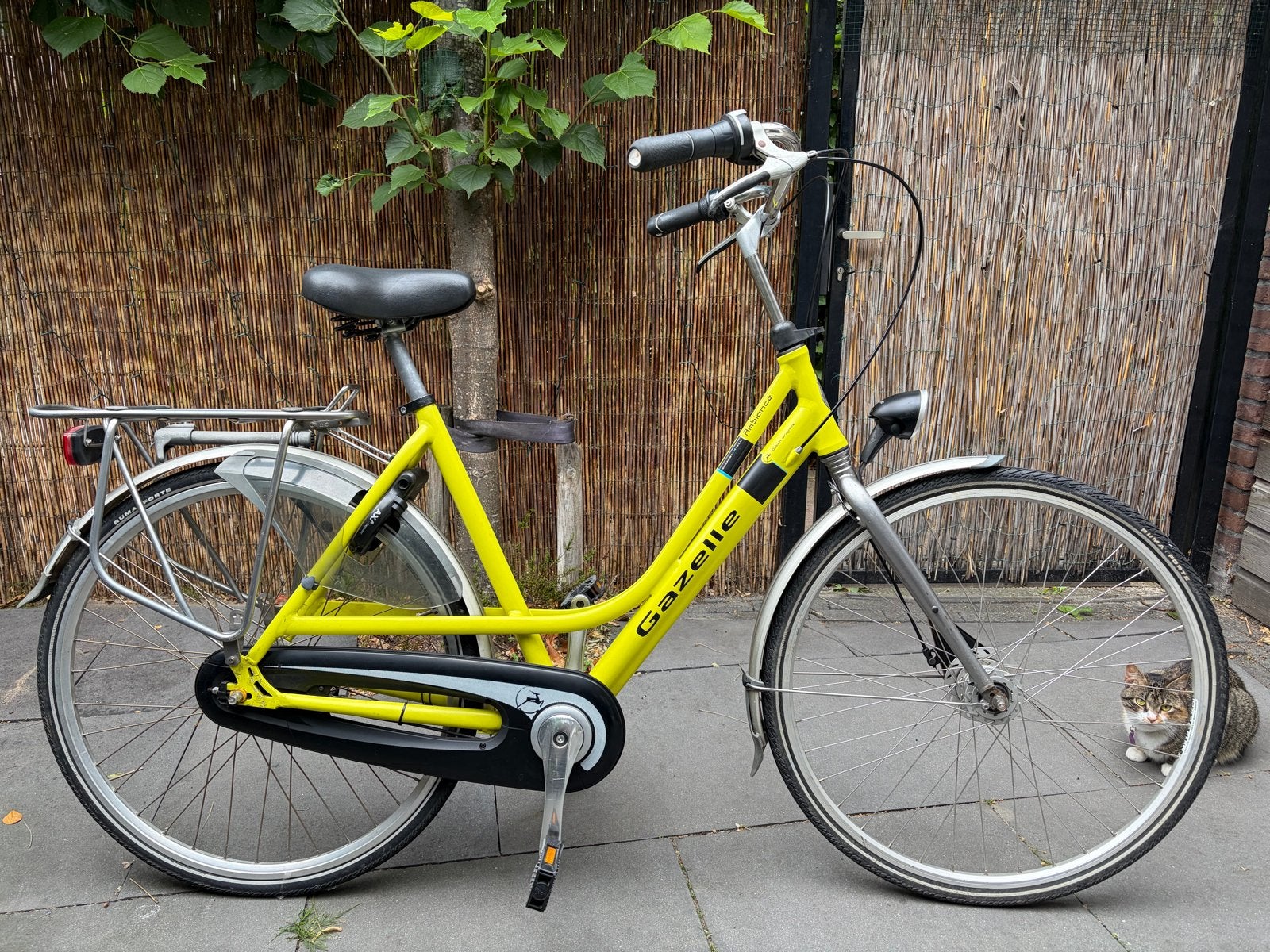 Hele Gele Gezellige Gazelle Damesfiets - zgan, Fietsen en Brommers, Fietsen | Dames | Damesfietsen, Ophalen, (Extra) lage instap