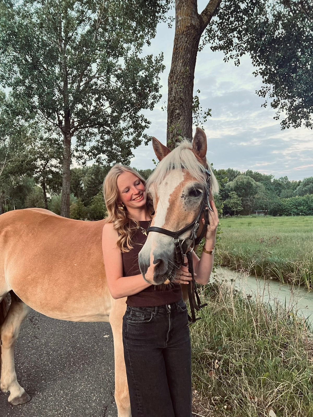 Ervaren ruiter aangeboden, verzorgpony/paard gezocht
