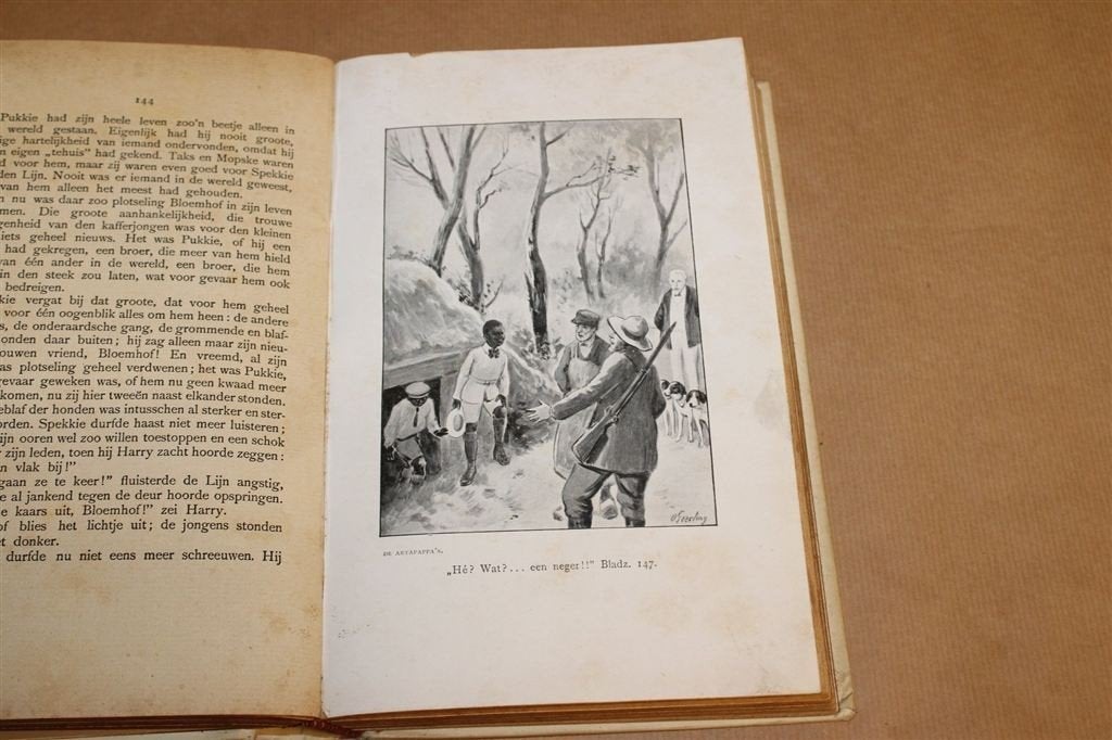 De Artapappa\'s — J.B. Schuil Zeldzame 1e Druk 1920, Ophalen of Verzenden, Gelezen