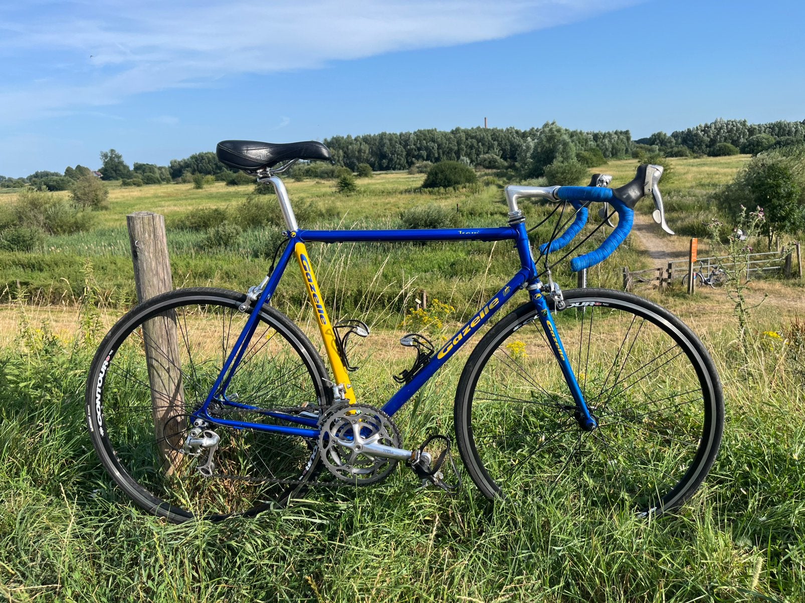 Gazelle champion mondial team, Fietsen en Brommers, Fietsen | Racefietsen, Ophalen, 28 inch, Gebruikt, Staal