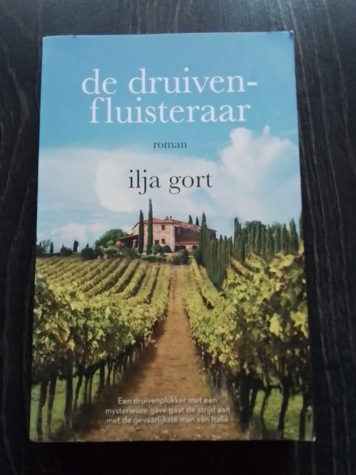Ilja Gort, de Druiven-fluisteraar, Ophalen of Verzenden, Zo goed als nieuw, Nederland, Ilja Gort