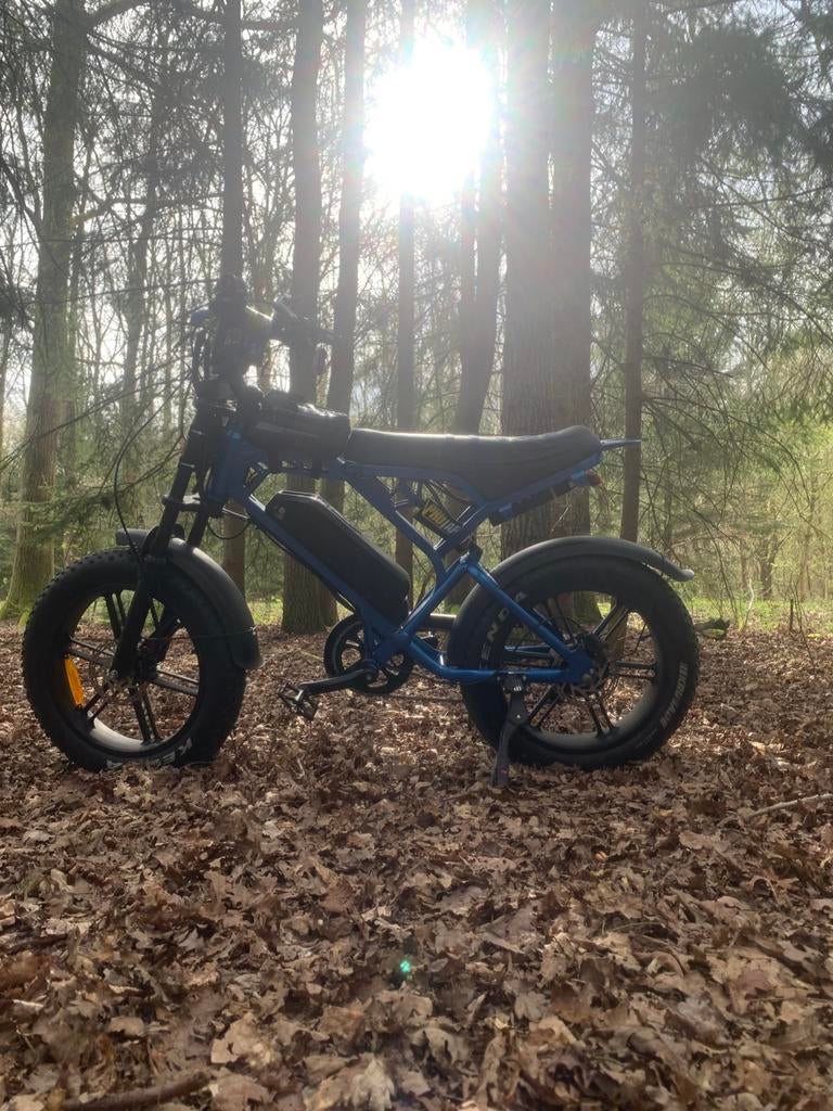 Fatbike v20 blue custom, Fietsen en Brommers, Elektrische fietsen, Zo goed als nieuw, Overige merken, 59 cm of meer, 50 km per accu of meer