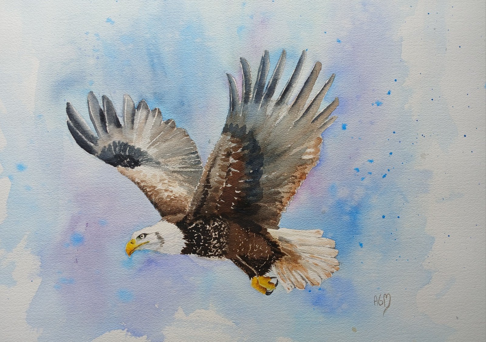 Aquarel adelaar, Ophalen of Verzenden