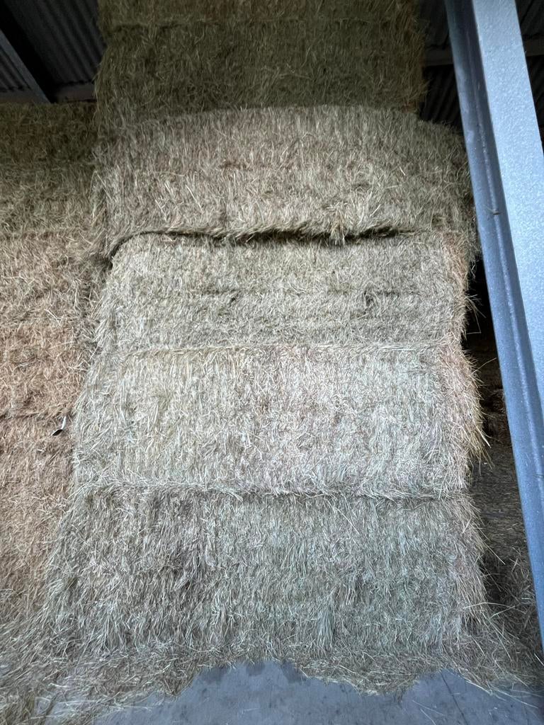 Grote balen hooi, Dieren en Toebehoren, Ophalen of Verzenden, Vee