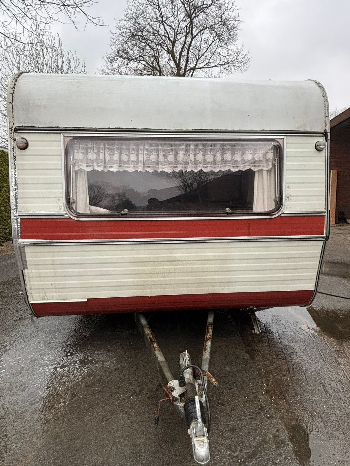 Kip kl700, Rondzit, Kip, Particulier, Tot en met 4