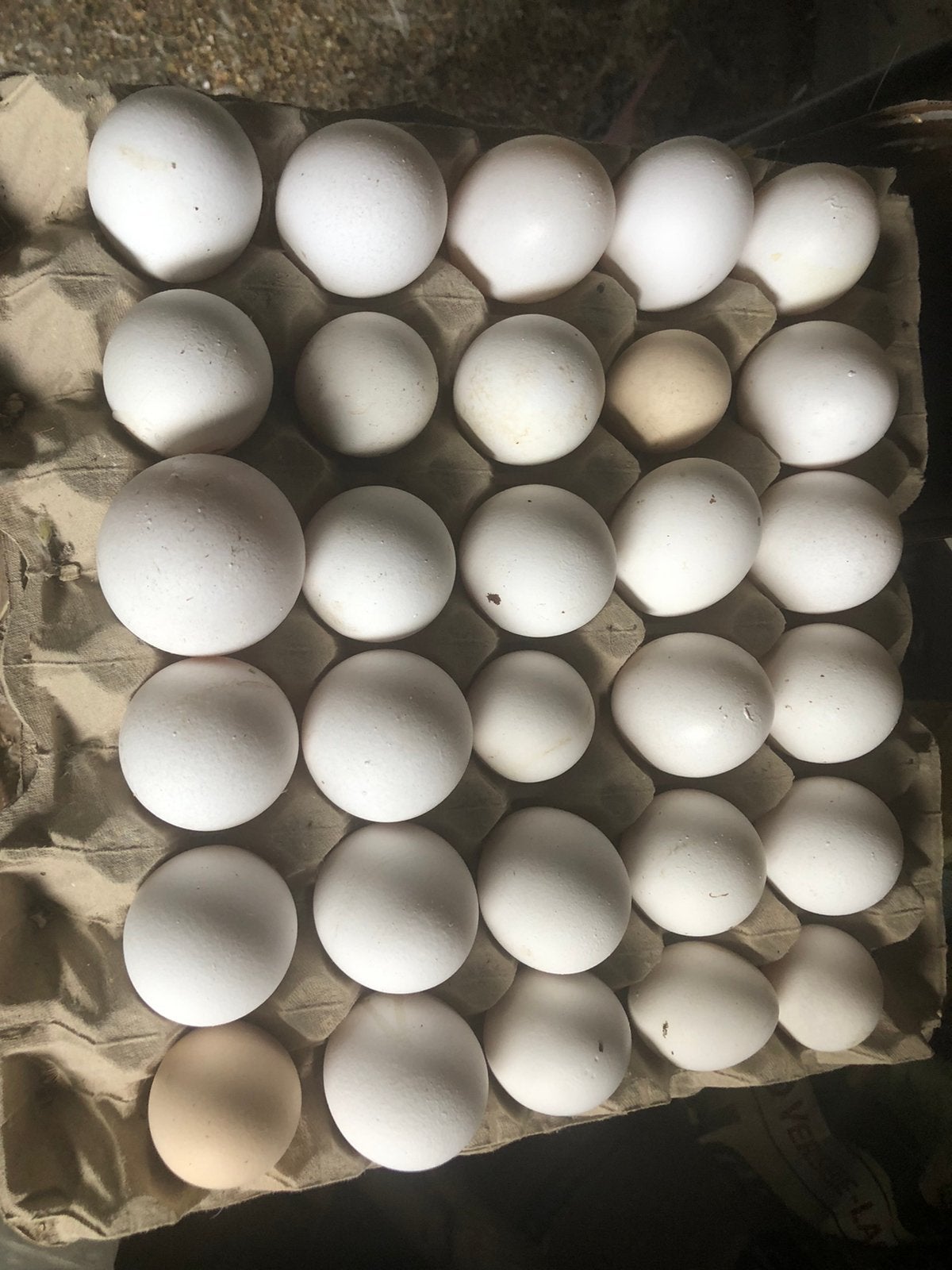 60 eieren, Ophalen