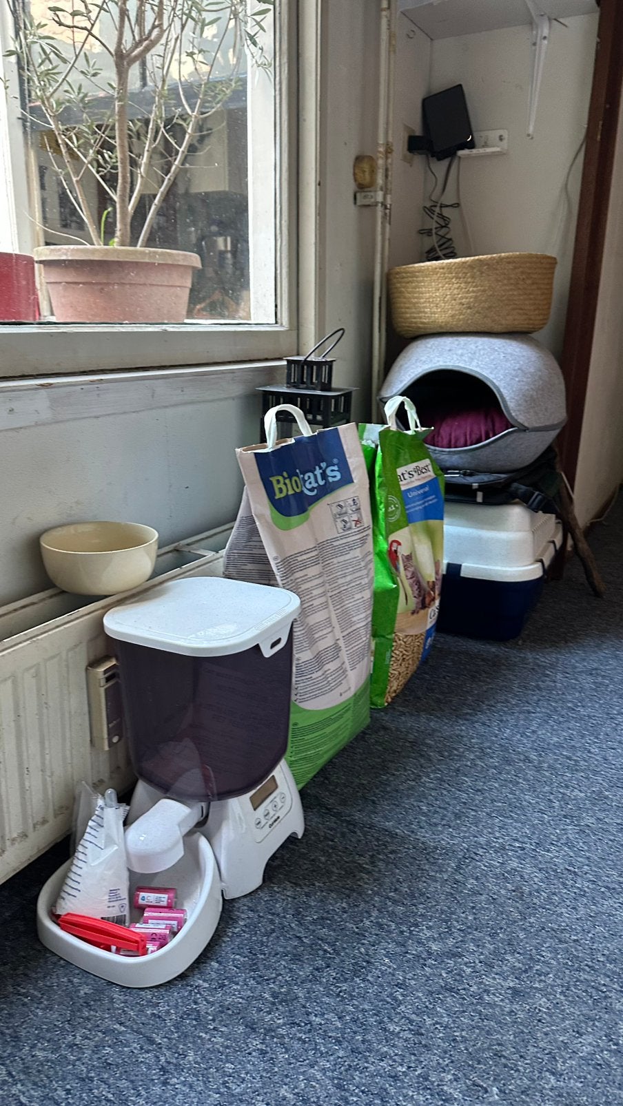 Spullen voor kat (apart geprijsd, open voor onderhandeling), Ophalen