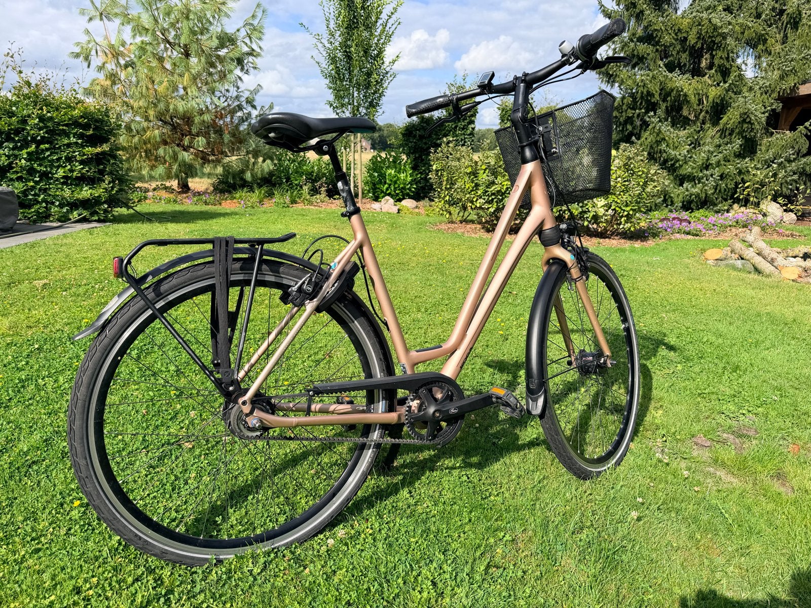 KOGA Lady 4.0 (2019) | 56 cm | Gates riemaandrijving, Fietsen en Brommers, Fietsen | Dames | Damesfietsen, Gebruikt, Versnellingen