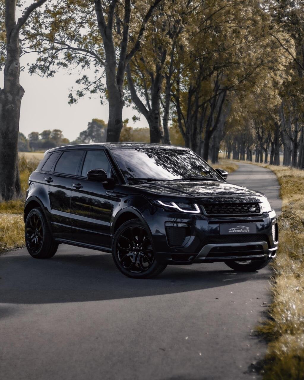 Land Rover Range Rover Evoque 2.0 Si4 HSE/5 Jaar garantie, Auto's, Automaat, Dealer onderhouden, Gebruikt, 4 cilinders