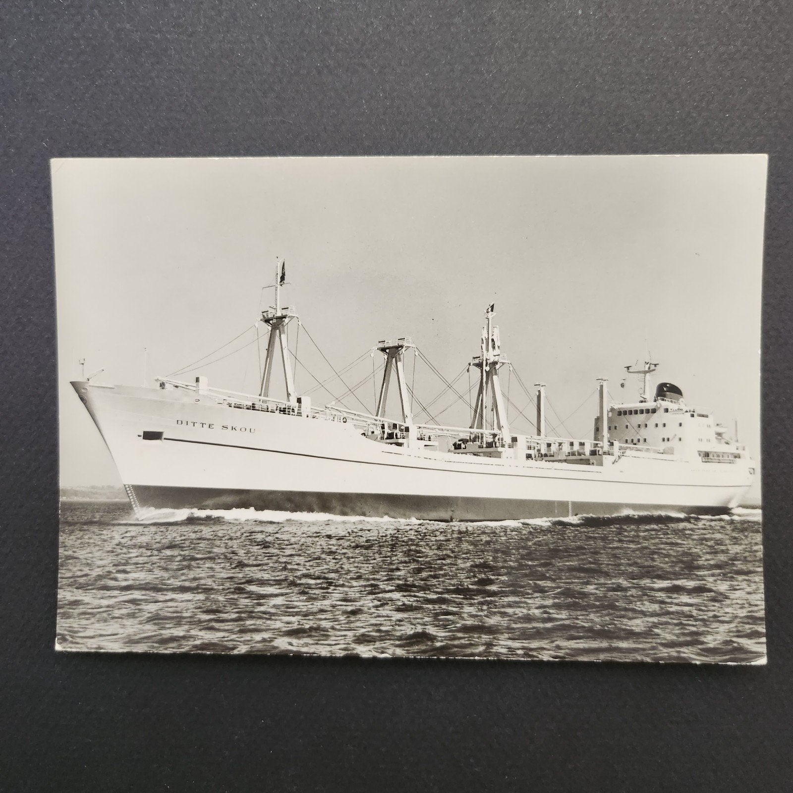 Echte foto M/S Ditte Skou schip, Verzenden, 1960 tot 1980, Zo goed als nieuw, Overige onderwerpen