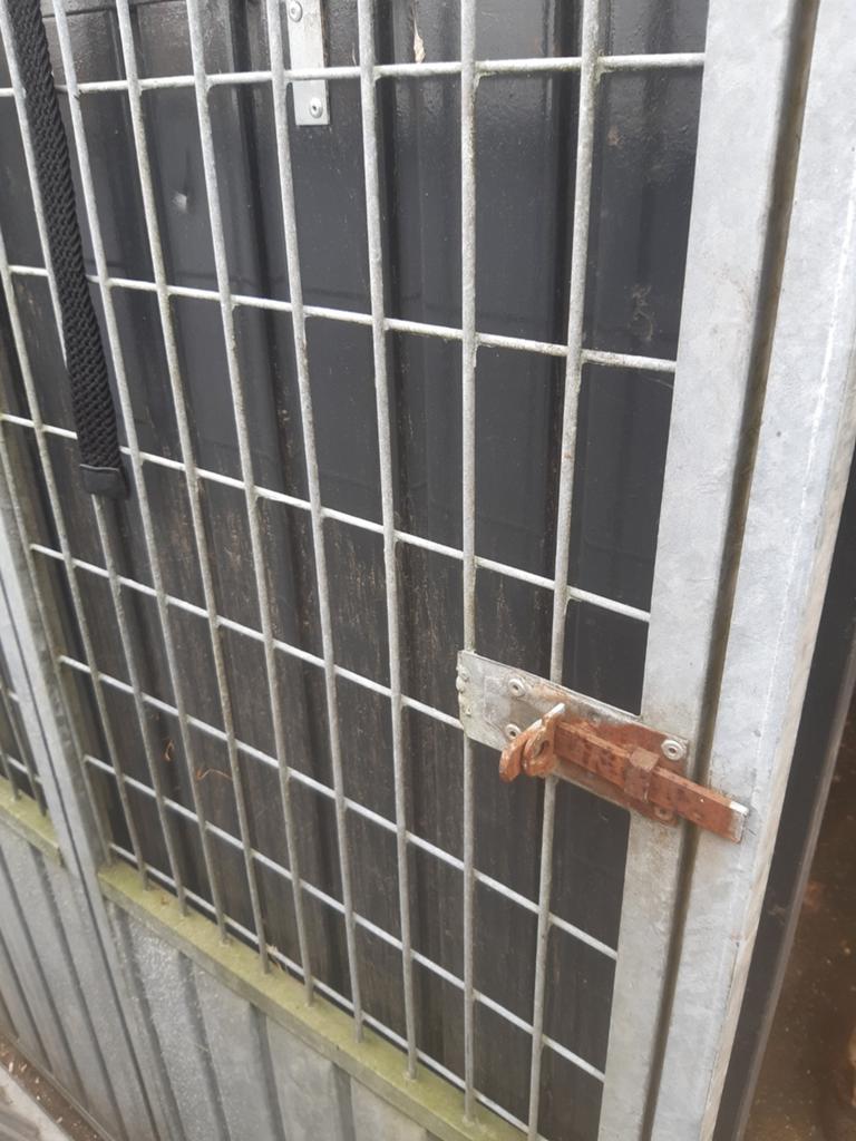 Honden kennel kompleet ., Ophalen of Verzenden