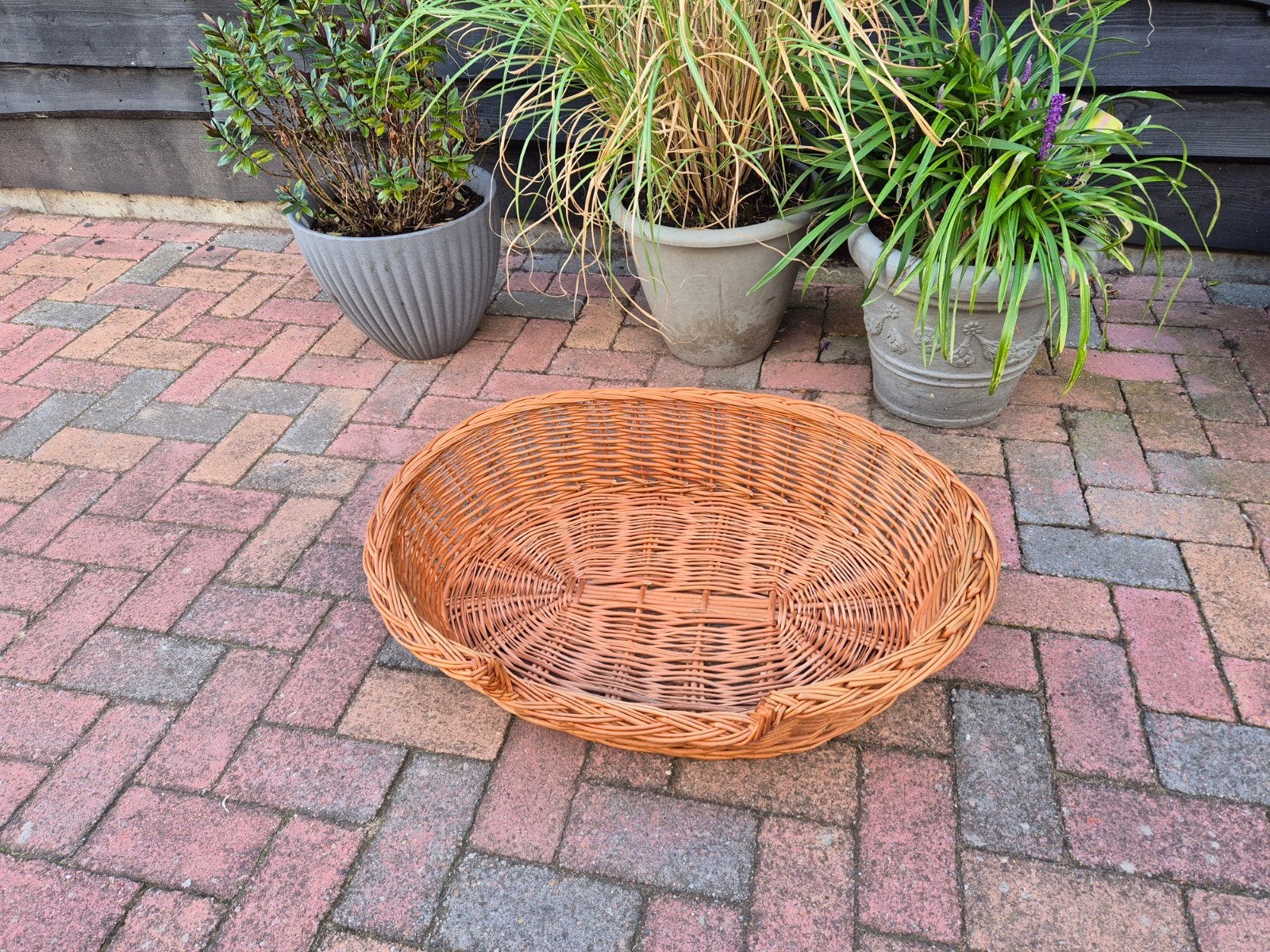 mooie rieten hondenmand, Ophalen, Zo goed als nieuw, Riet