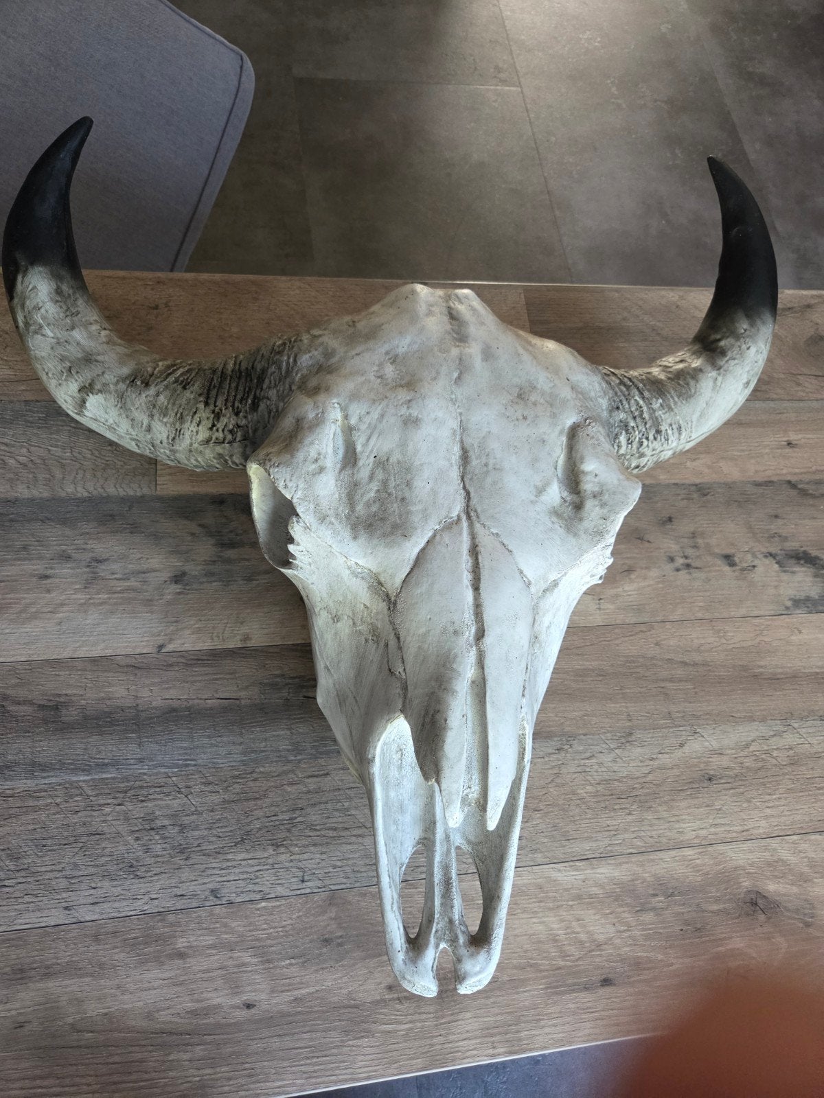 Decoratieve buffelschedel met hoorns, Ophalen, Gebruikt, Kunststof, Wit