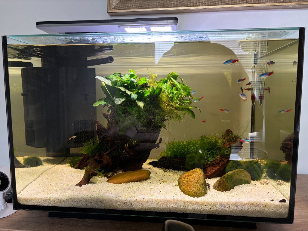 Akwarium o pojemności 70 litrów., Ophalen, Zo goed als nieuw, Gevuld zoetwateraquarium