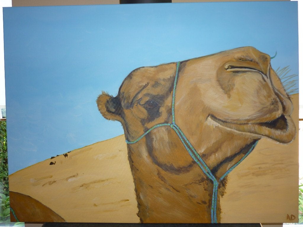 Kameel, Acrylverf, Handgeschilderd, Ophalen of Verzenden, Dieren