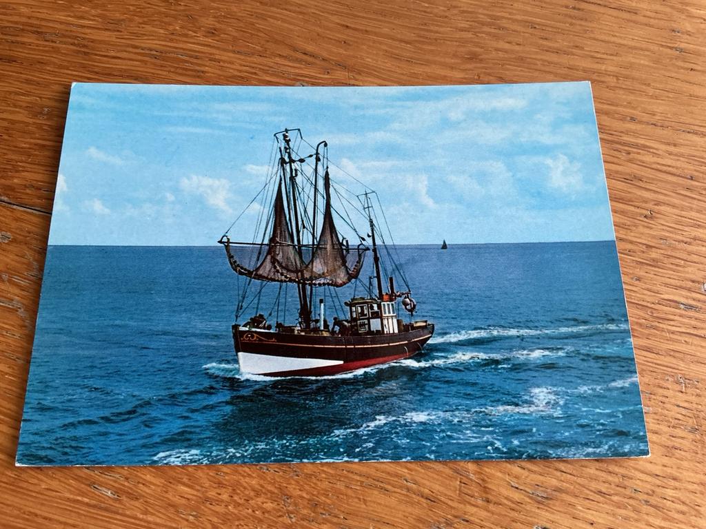 S479 Groeten uit Domburg, Ophalen of Verzenden, Zeeland