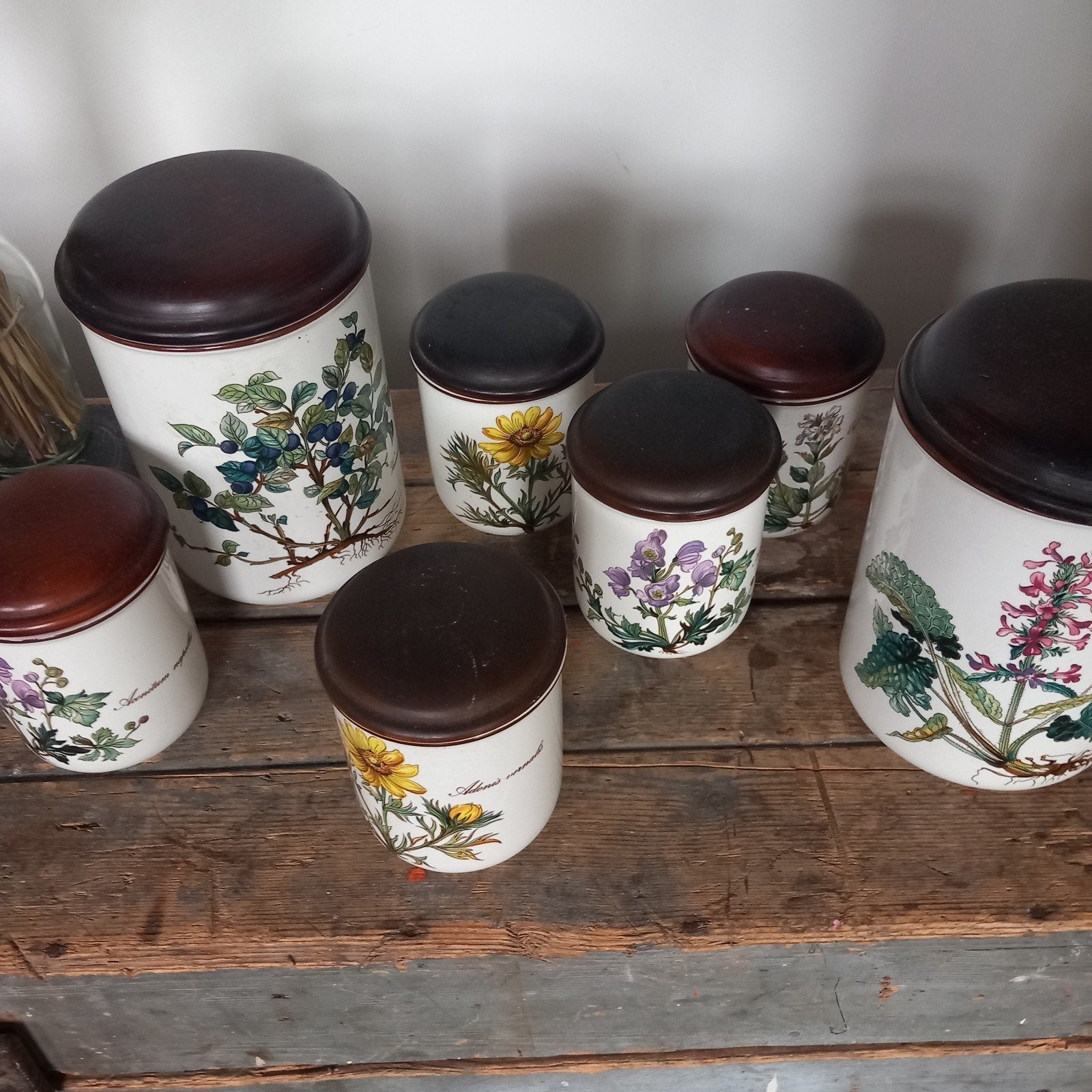 Villeroy & Boch Botanica voorraadpotten set, Ophalen of Verzenden