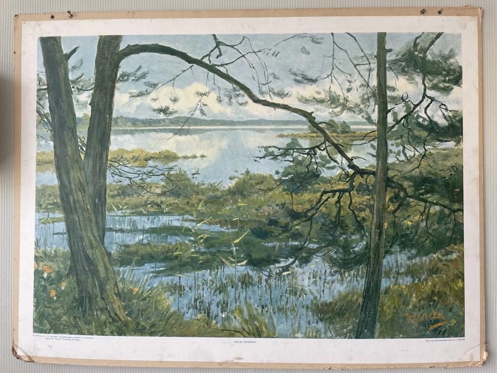 schoolplaat, Antiek en Kunst, Antiek | Schoolplaten, Ophalen of Verzenden, Natuur en Biologie