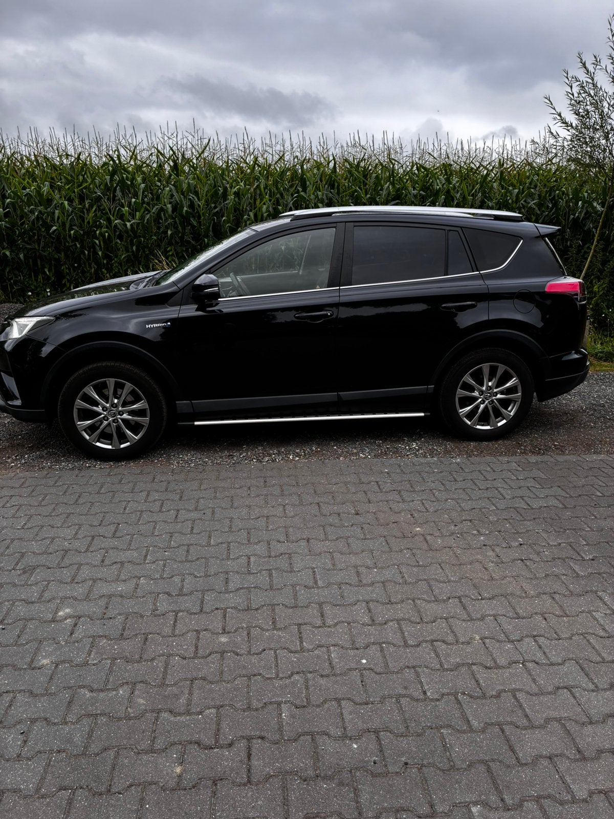 Toyota Rav4 2.5 Vvt-i Hybrid executive  AWD Aut 2017 Zwart, Automaat, Zwart, Zwart, Vierwielaandrijving