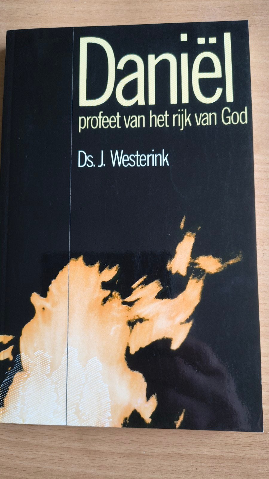 Daniel,profeet van het rijk van God. Ds J Westerink, Ds J Westerink, Christendom | Protestants, Ophalen of Verzenden, Zo goed als nieuw