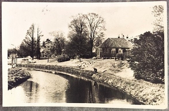 Medemblik Westersingel 1961 Fotokaart, Ophalen of Verzenden, 1940 tot 1960, Gelopen, Noord-Holland