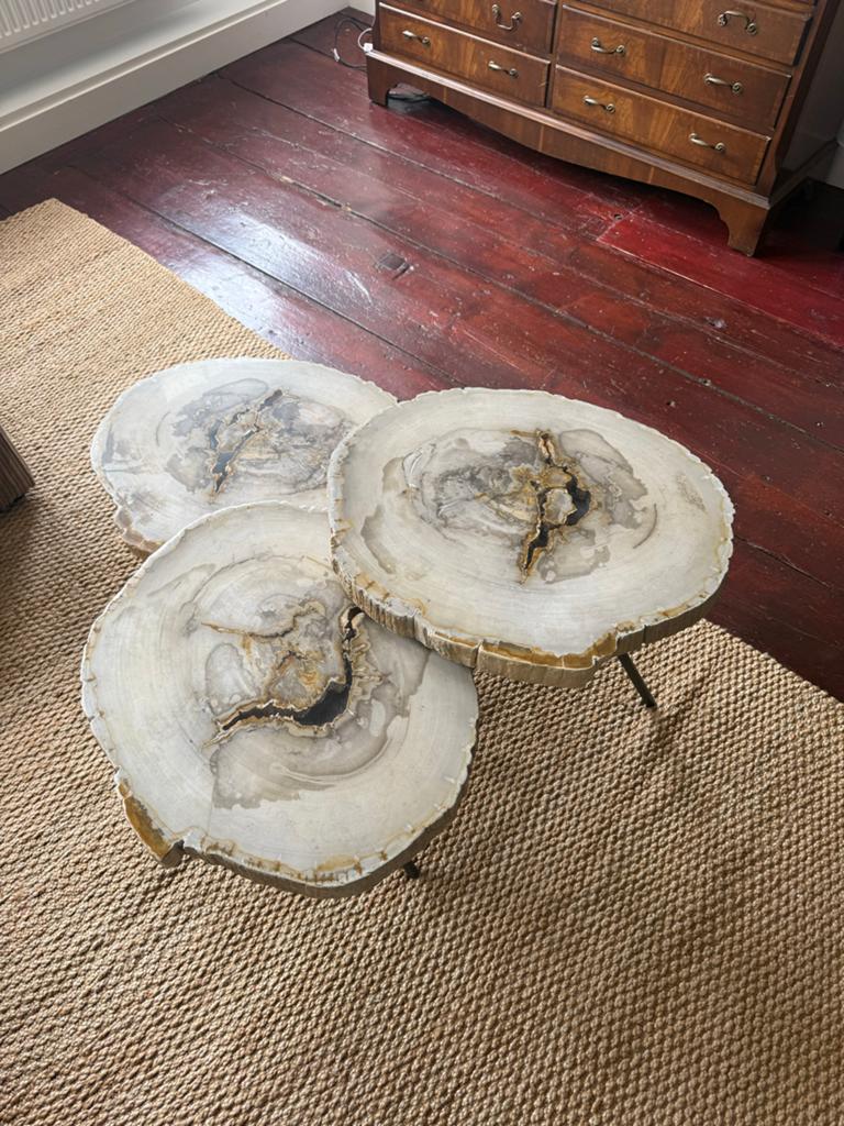 Eichholtz bijzettafels set van 3 - Petrified Wood, Ophalen, Overige materialen, Rond, 50 tot 100 cm