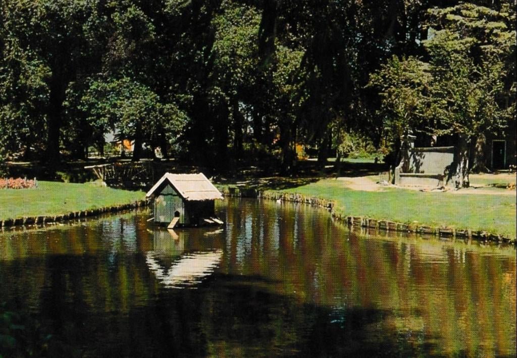 Ootmarsum            983a, Verzamelen, Ansichtkaarten | Nederland, Ophalen of Verzenden, Voor 1920