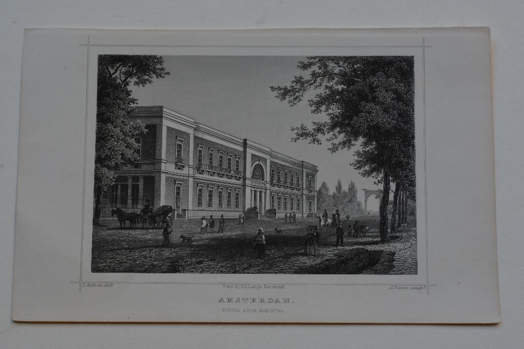 AMSTERDAM ARTIS PLANTAGE MIDDENLAAN Mooie Gravure Terwen G19, 10 cm, Origineel, 1800 - 1899, Verzenden