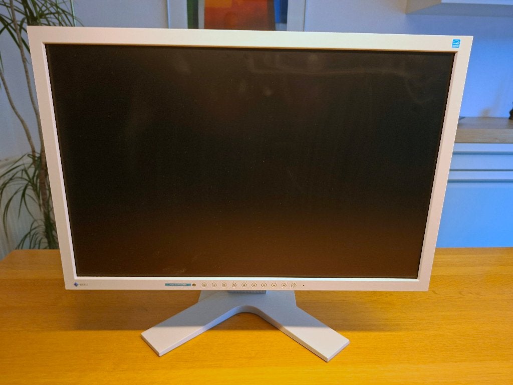 Eizo computermonitor, Computers en Software, Monitoren, Gebruikt, 61 t/m 100 Hz, DVI, VGA, Gaming, Ingebouwde speakers, In hoogte verstelbaar