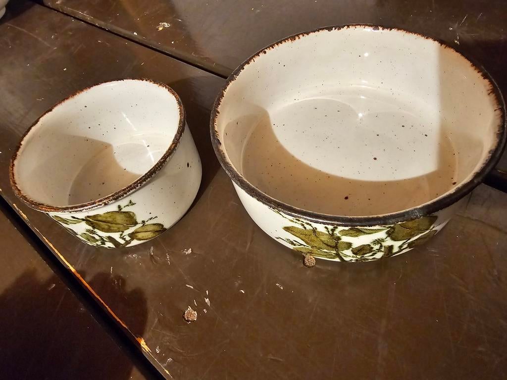 Wedgwood stonehenge 'Green leaves' schaaltjes, Ophalen of Verzenden, Groen, Dame
