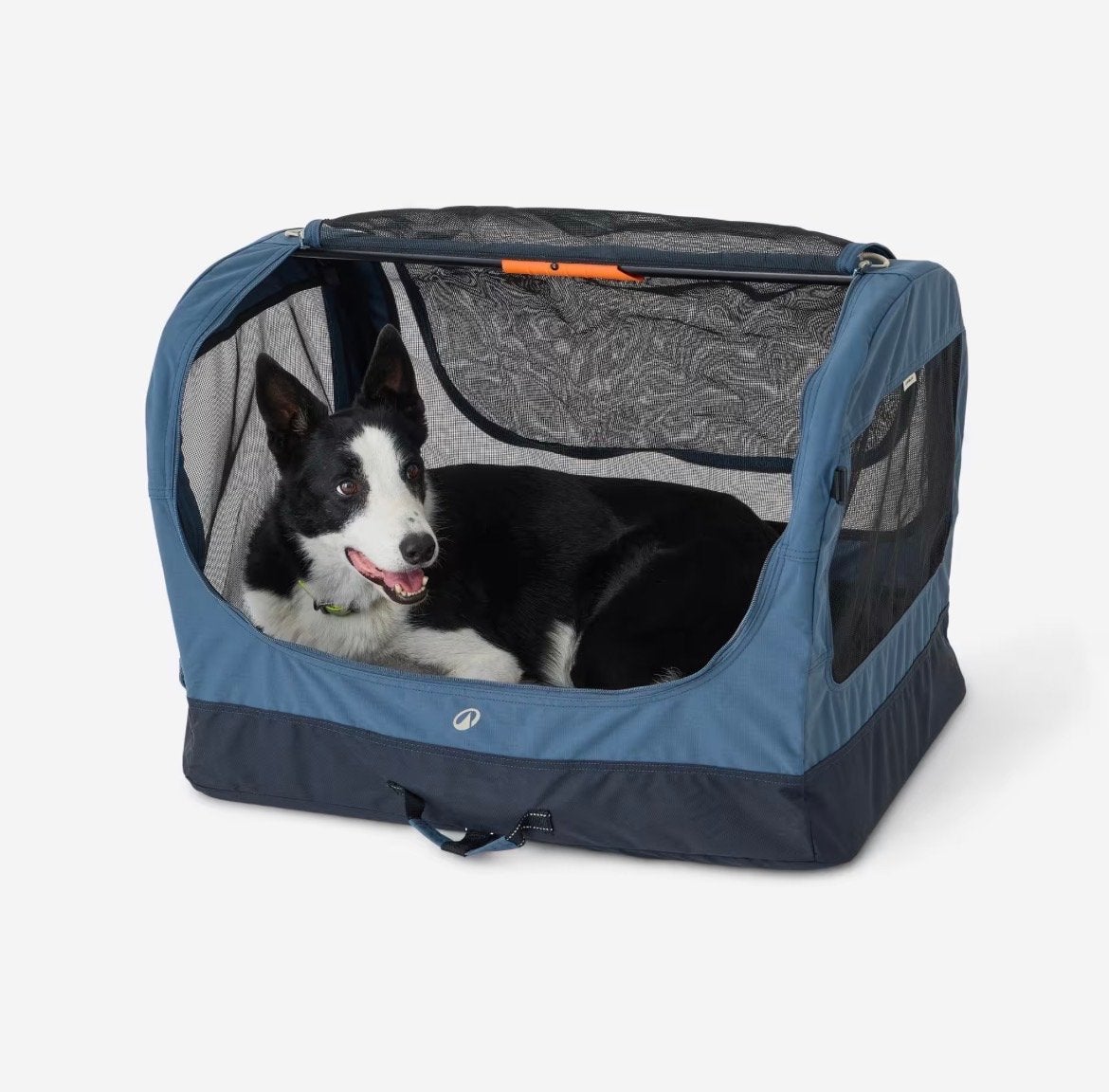 Decathlon Transportbench Hondenbench Nieuw, Ophalen, Nieuw