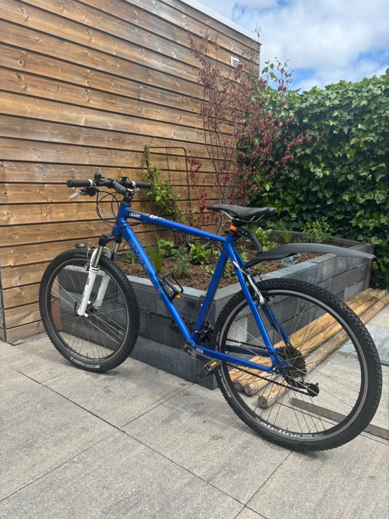 mountainbike, Fietsen en Brommers, Fietsen | Mountainbikes en ATB, Gebruikt, Heren, Gazelle, Ophalen