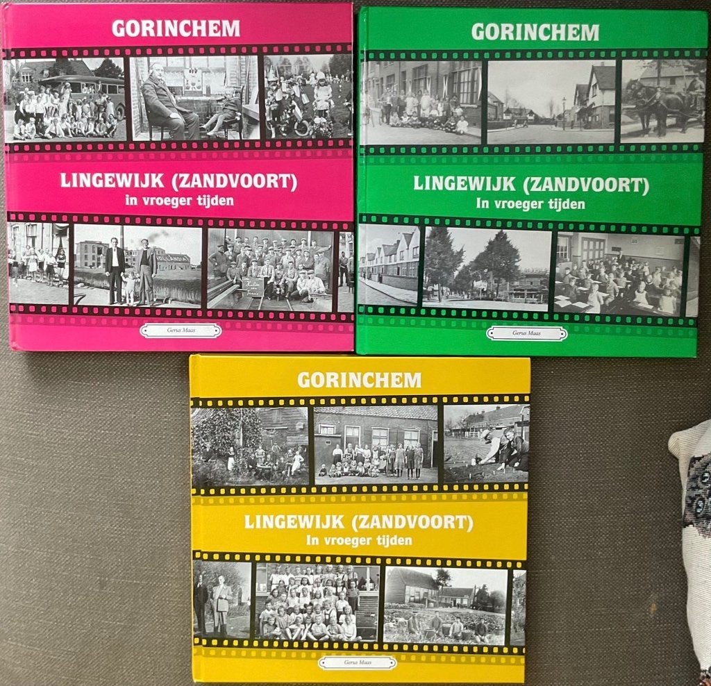 Gorinchem Lingewijk deel 2 , gezocht, Gerus Maas, Ophalen of Verzenden, Zo goed als nieuw, Nederland