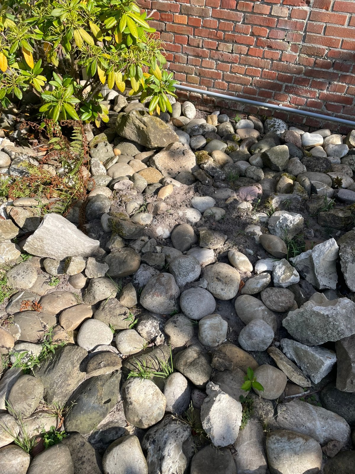 Gratis sierkeien voor tuin of vijver, Ophalen, Overige materialen, Gebruikt, Kei