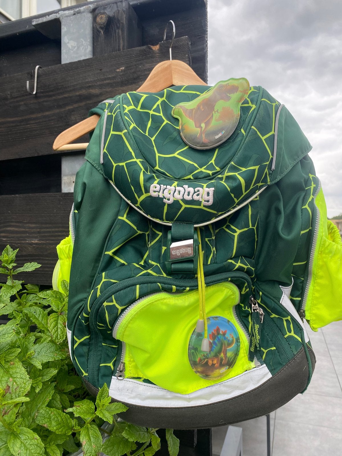 Ergobag schooltas, Ophalen of Verzenden, Gebruikt, Rugtas