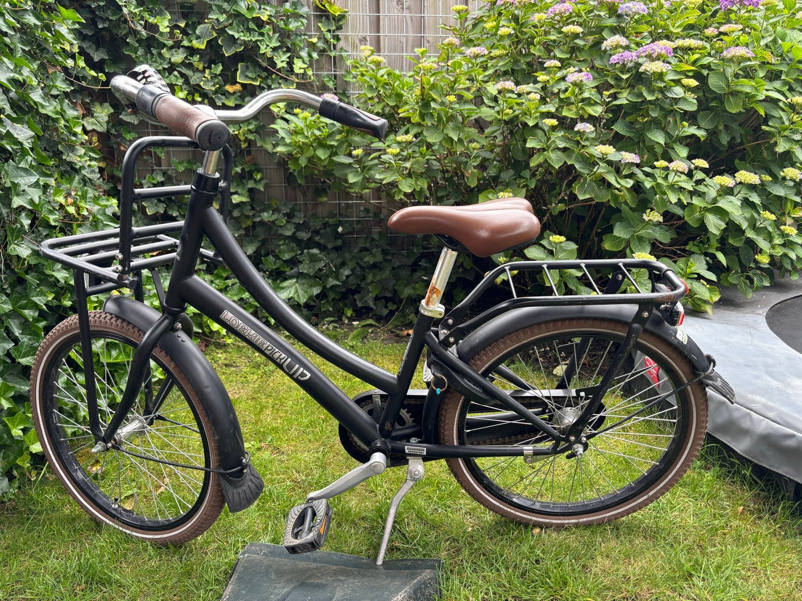 Loekie Pick Up 20 inch kinderfiets, Fietsen en Brommers, Fietsen | Kinderfietsjes, Ophalen, Gebruikt, 20 inch of meer