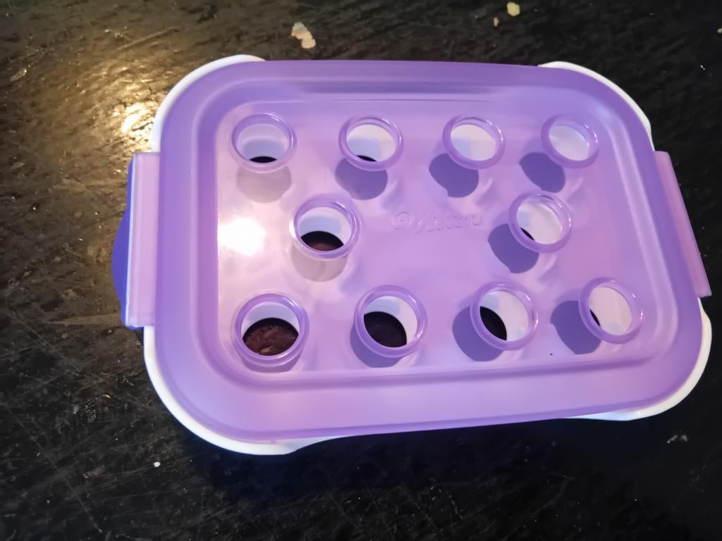 Wilton spuitmondjes doos - Nieuw in verpakking, Ophalen of Verzenden