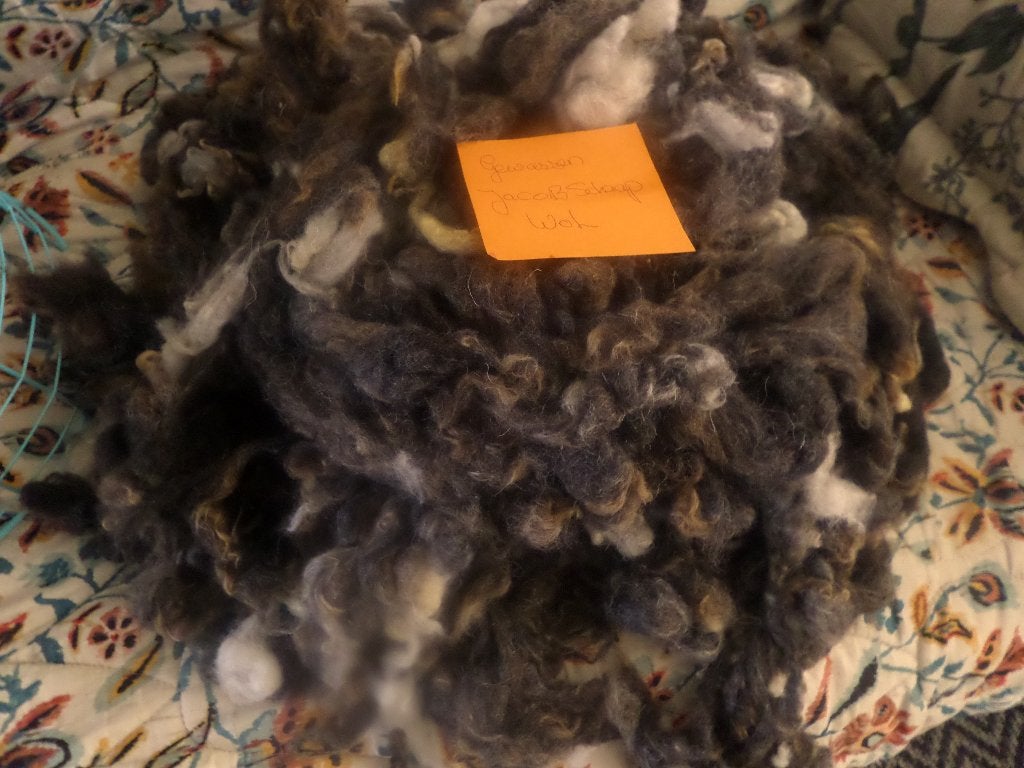 Gewassen mooie zachte Spinwol Jacob schaap 350gr, Ophalen of Verzenden, Nieuw, Spinwol