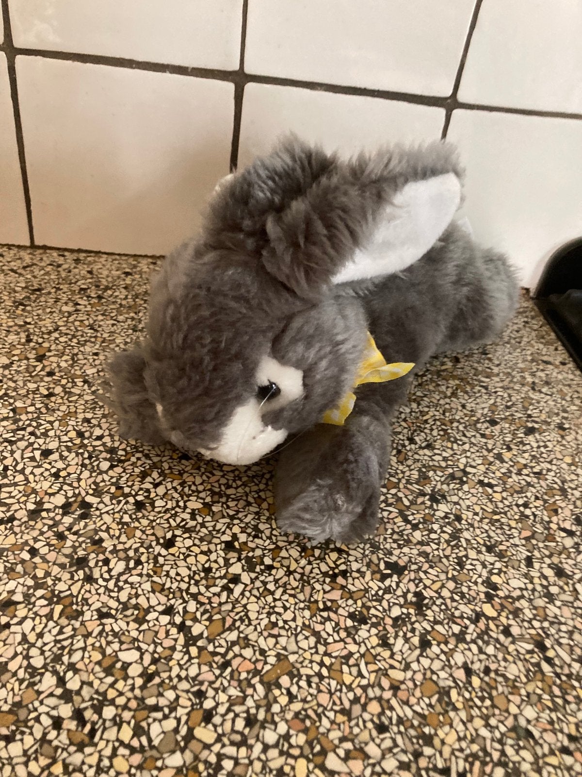 Knufgel konijn, Ophalen of Verzenden, Konijn