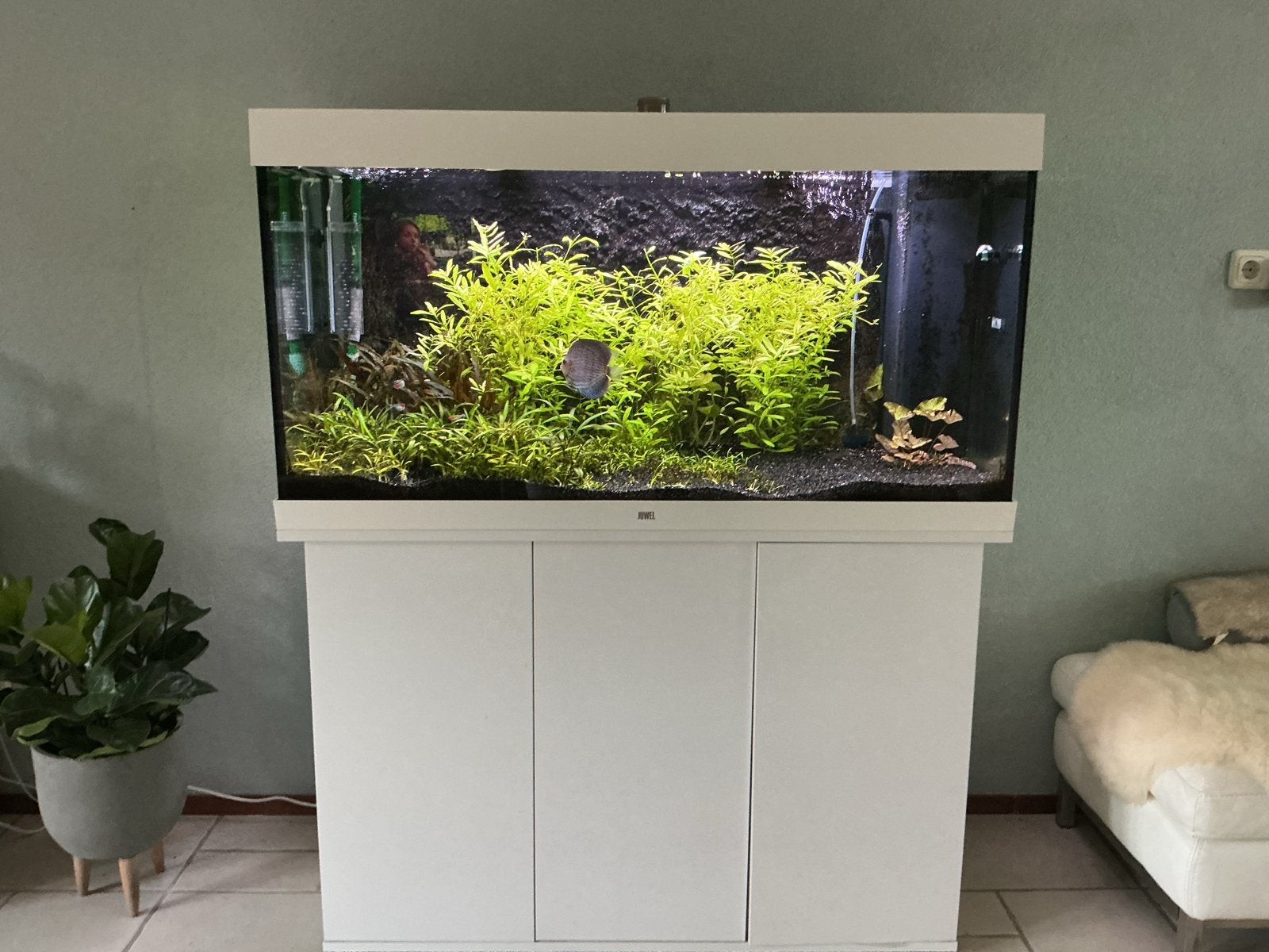 Te koop zeer goed aquarium, Ophalen, Gebruikt, Overige typen, Juwel