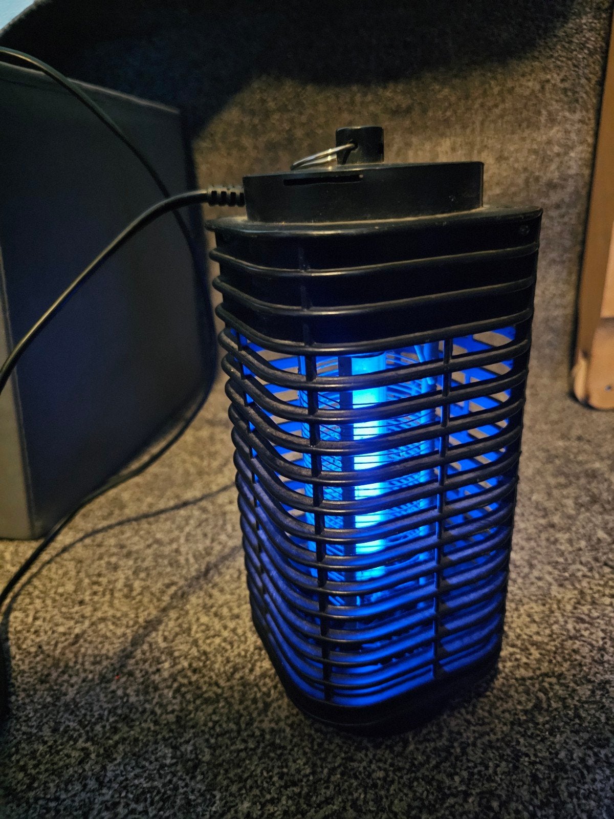 Vliegenlamp, Dieren en Toebehoren, Insecten en Spinnen