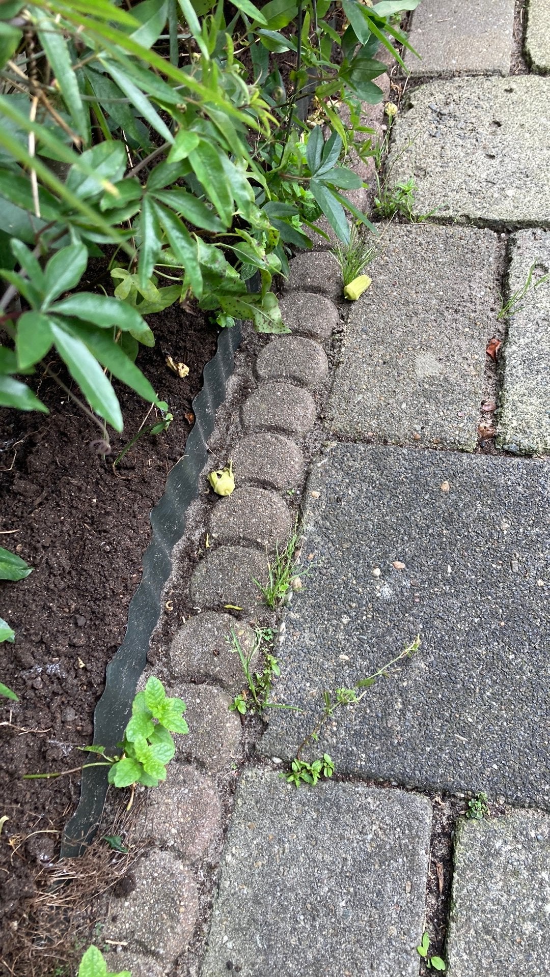 GRATIS OPHALEN!! 50m2, Ophalen, Gebruikt, 10 m² of meer, Beton