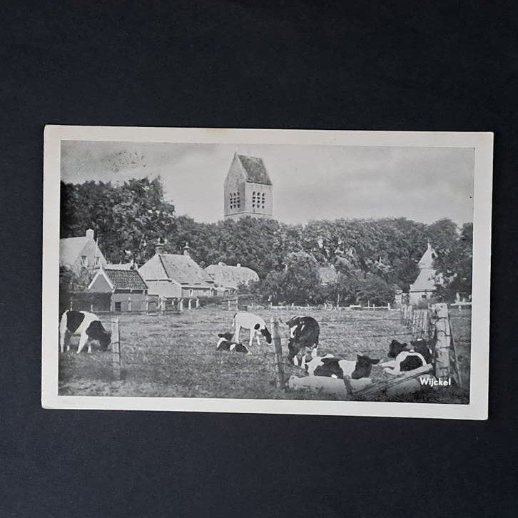 Wijckel Friesland Dorpsgezicht 1960, Ophalen of Verzenden, 1940 tot 1960, Gelopen, Friesland