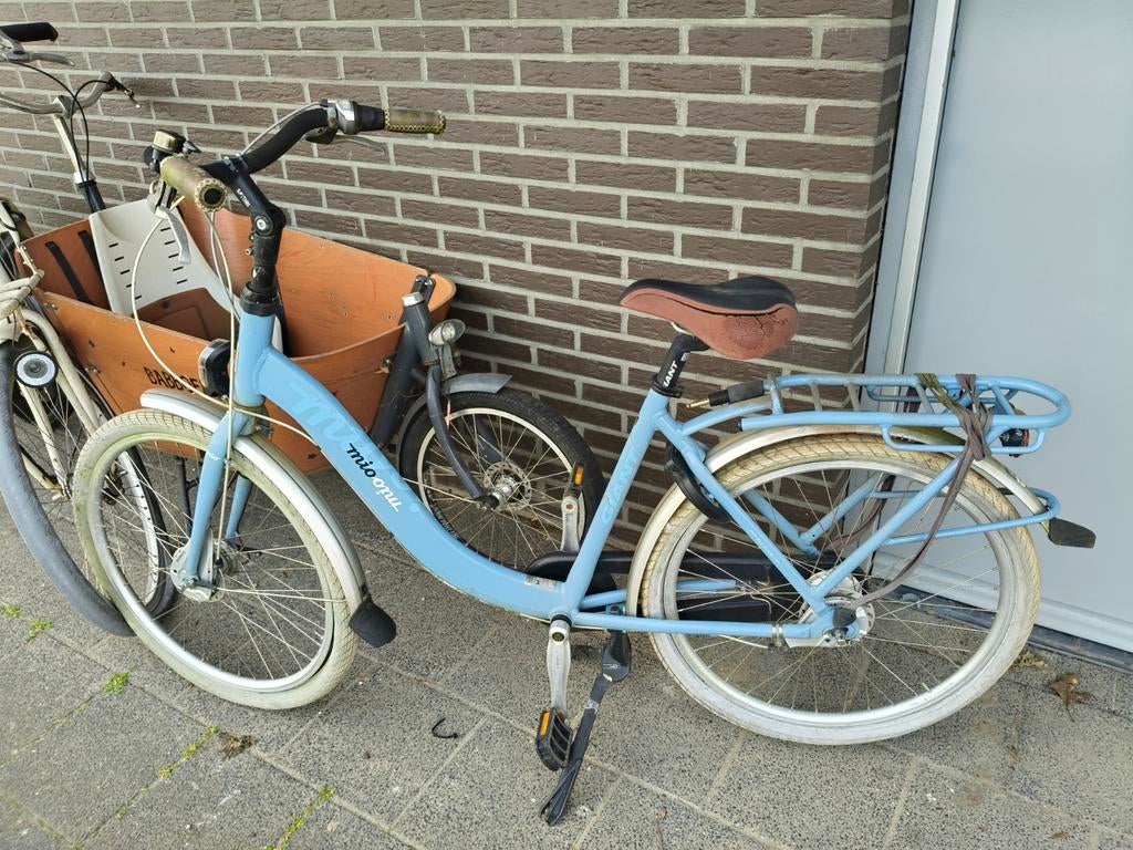 Giant moederfiets, Fietsen en Brommers, Ophalen, Gebruikt, Giant, Versnellingen