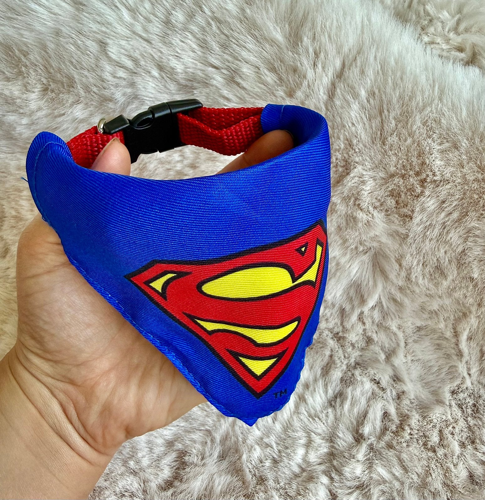 Superman hondenhalsband + bandana, Nieuw, Puppy, kleine hond, Dieren en Toebehoren, Ophalen of Verzenden, Nieuw