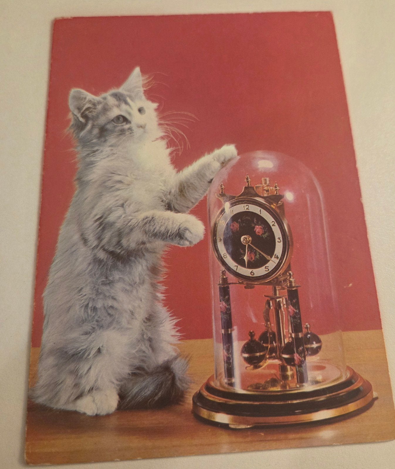 Katje speelt met klok, Verzenden, 1980 tot heden, Ongelopen, Hond of Kat